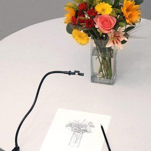 NeoLucida: The 21st Century Camera Lucida Drawing Tool